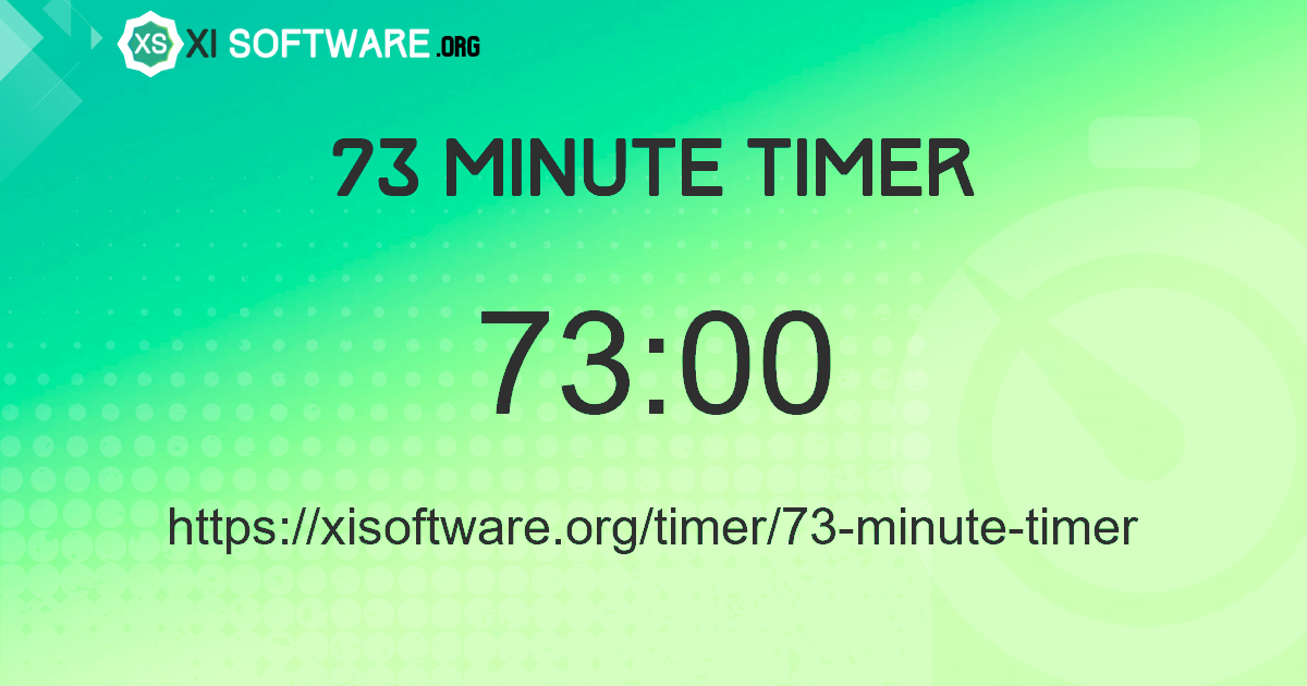 73 Minute Timer