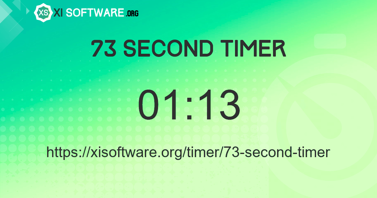 73 Second Timer
